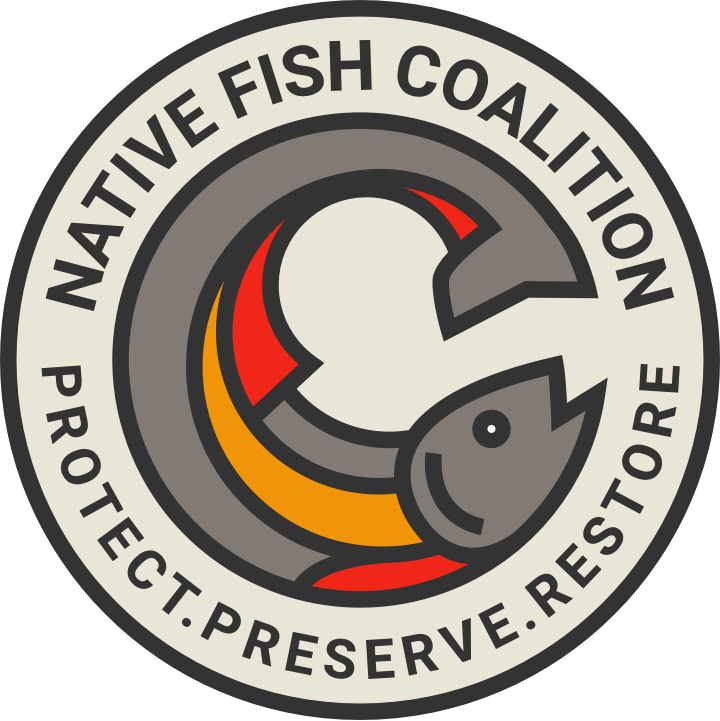 native fish coalition logo